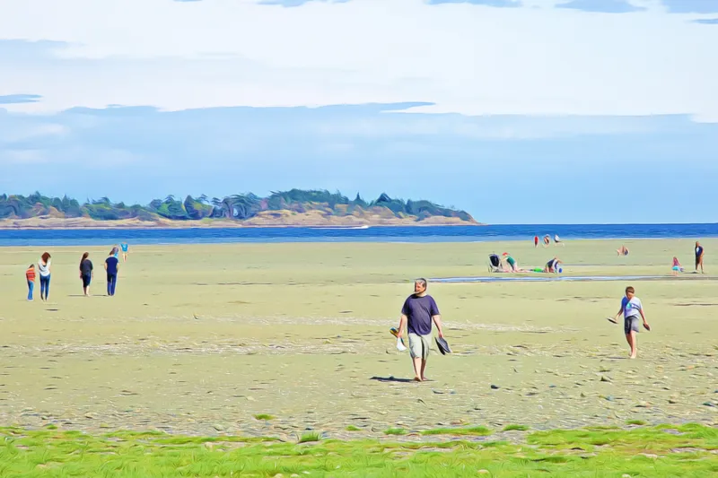 rathtrevor-beach-parksville-bc-vancouver-island-beach-guide-visitvanisland
